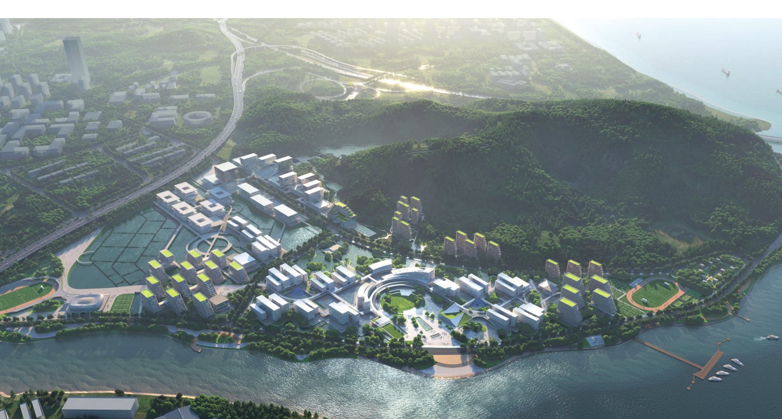 大湾区大学
