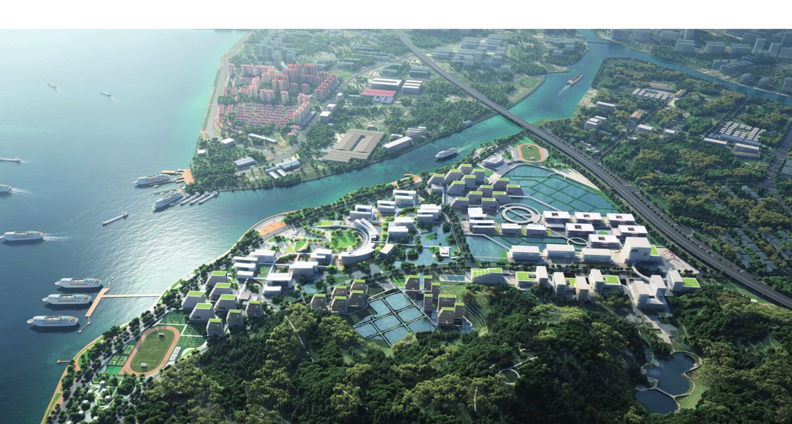 大湾区大学