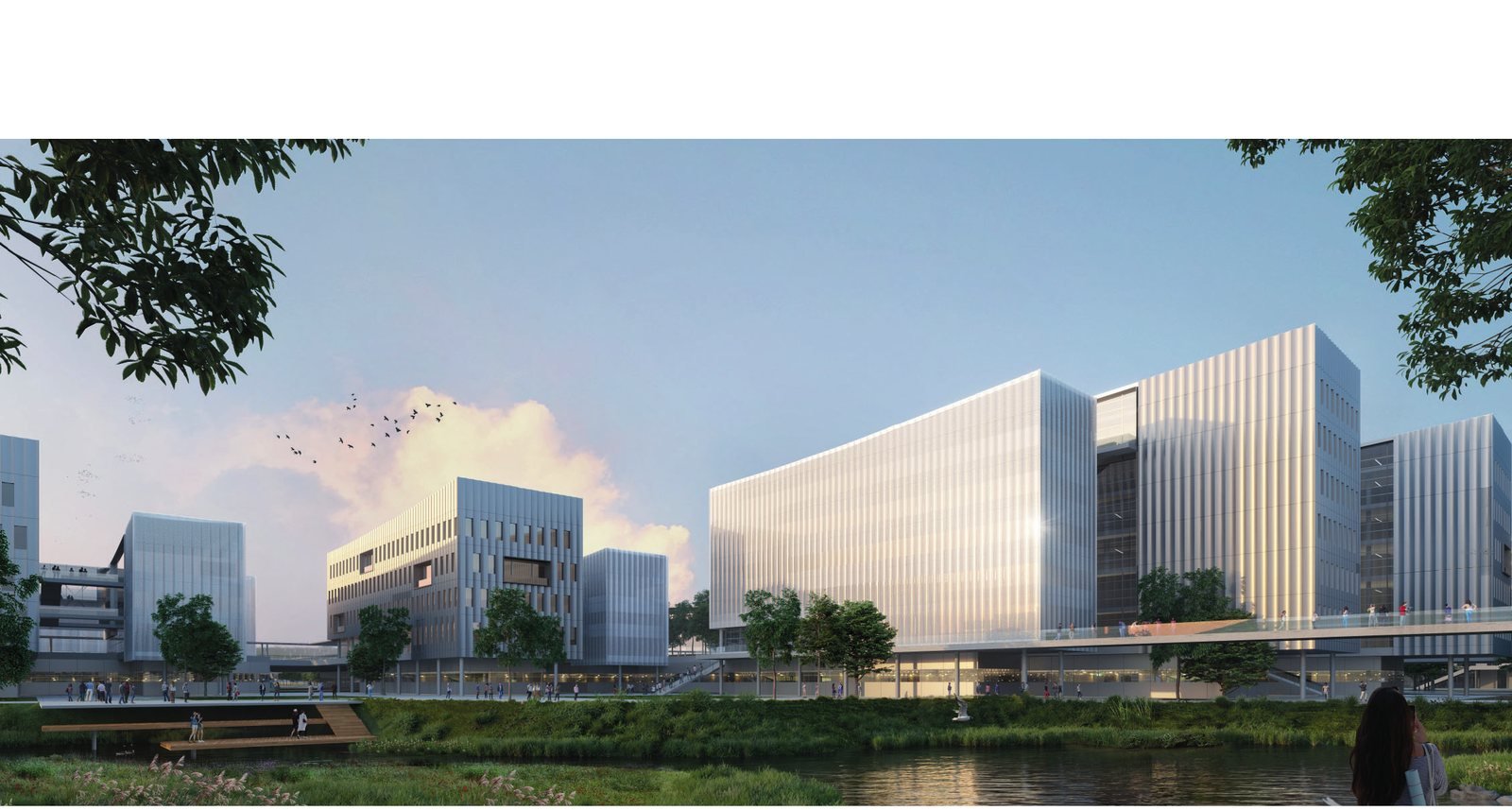 大湾区大学